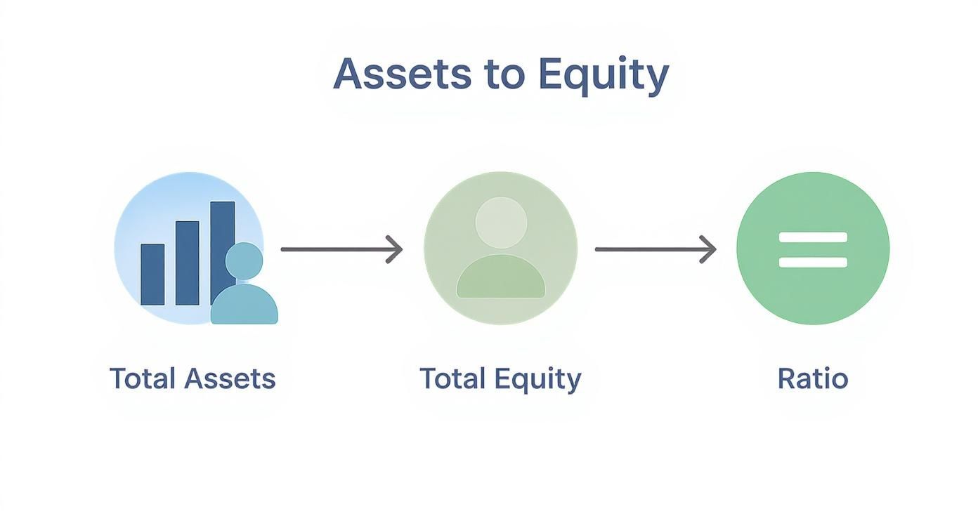 Diagram illustrating the Assets to Equity ratio, connecting total assets and total equity to the final ratio.