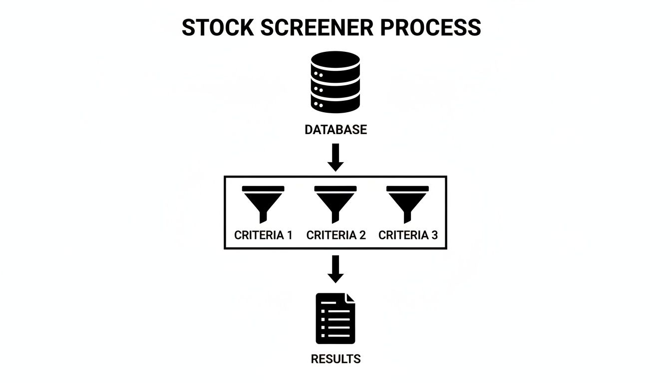 A flowchart illustrating the stock screener process, showing data flowing from a database through criteria filters to results.